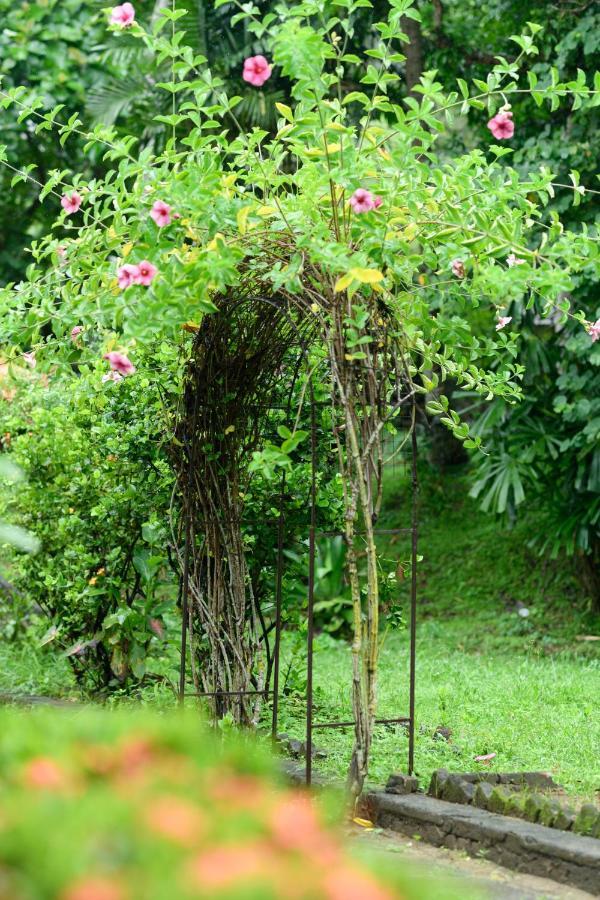 Irene'S Home Matale Exterior foto